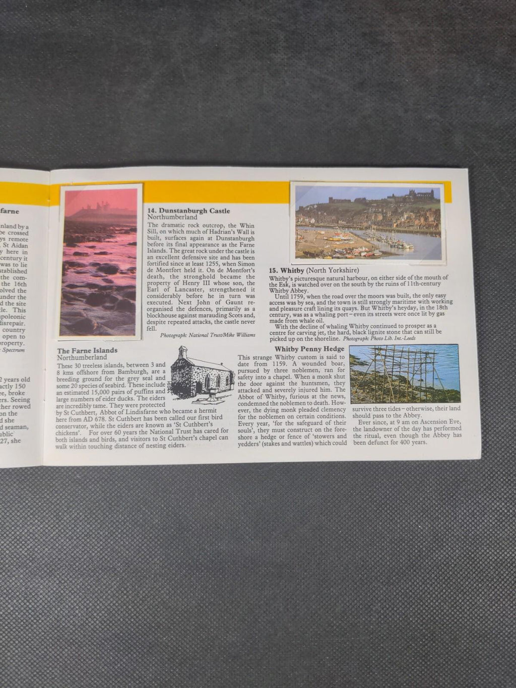 Brooke Bond Tea Cards: Discovering Our Coast PG Tips Album Complete