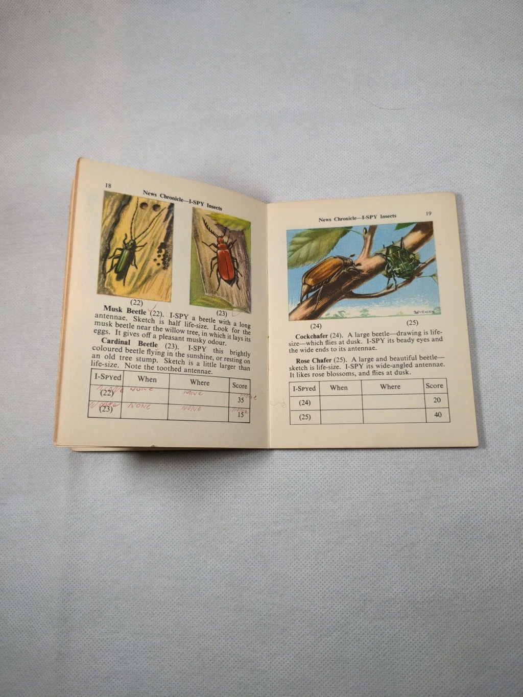 Vintage I-Spy News Chronicle Book Issue Insects - Retrorama UK