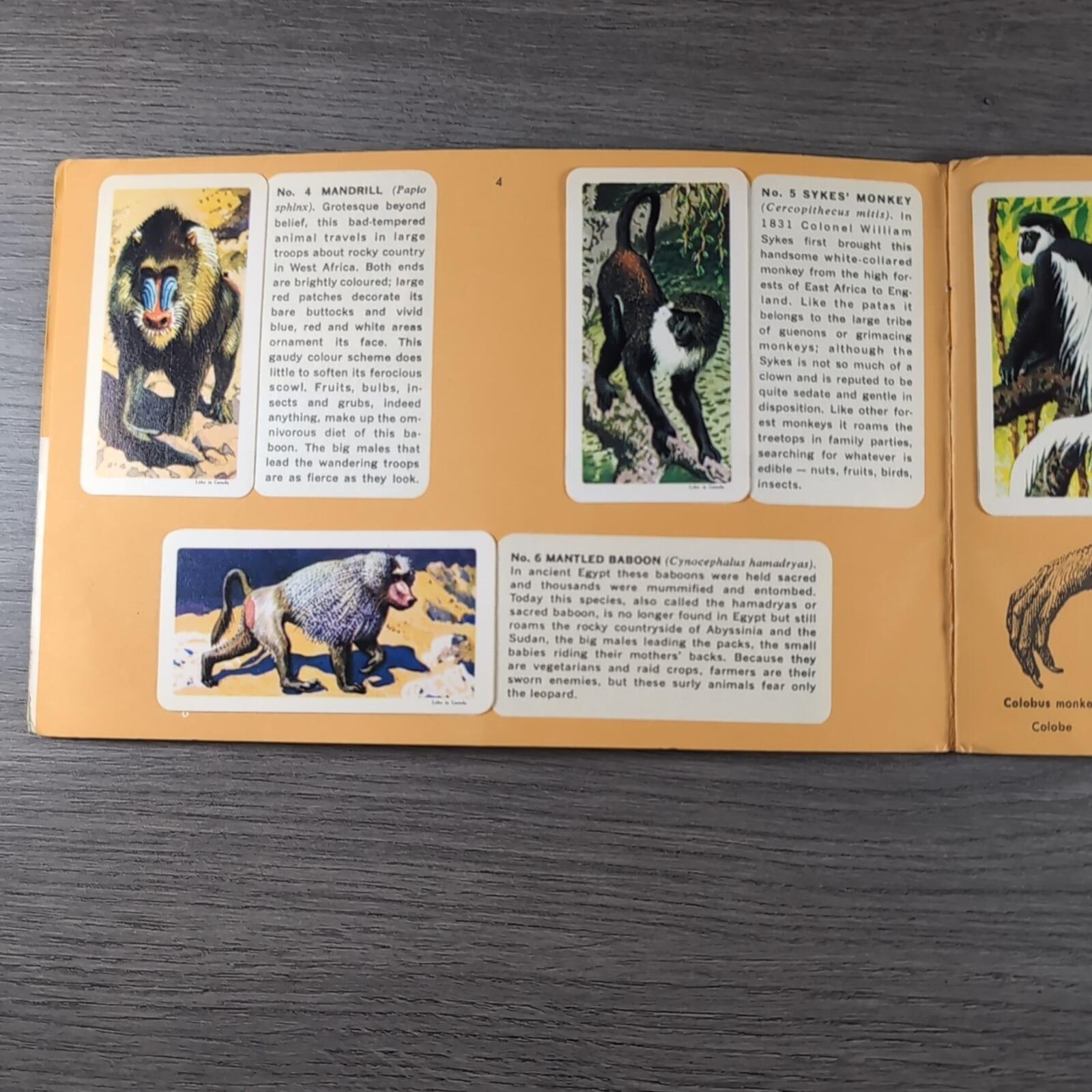 African Animals Brooke Bond Album No 7 Tea Cards Vintage Collectors Cards