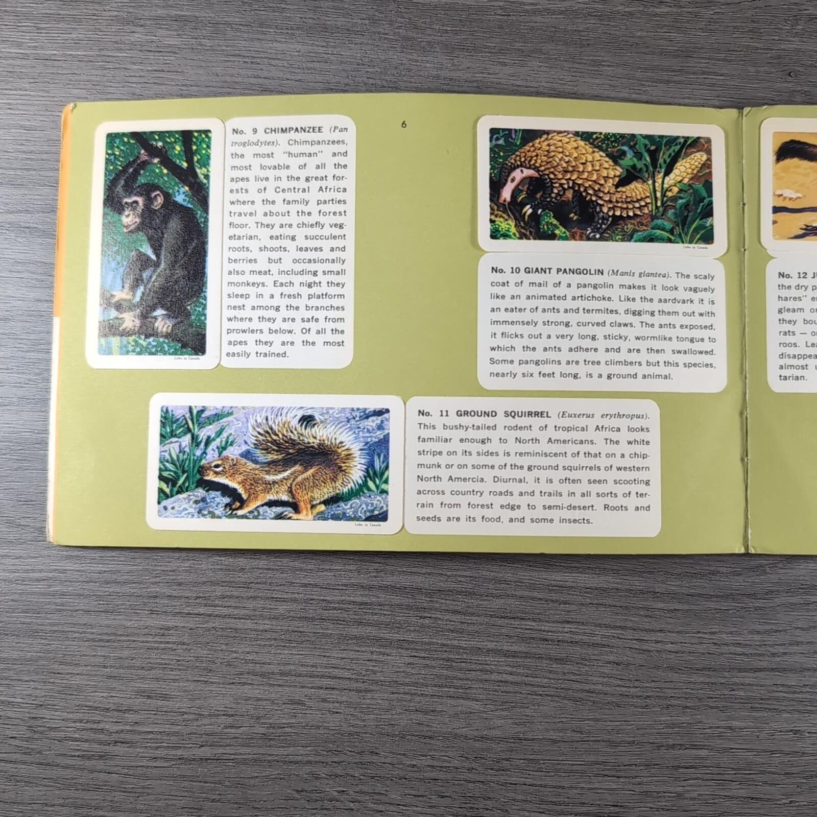 African Animals Brooke Bond Album No 7 Tea Cards Vintage Collectors Cards