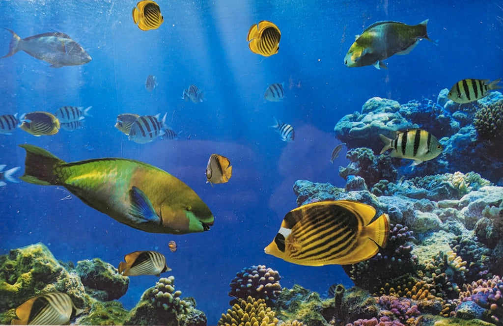 Coral Reef Marine Life Wooden Jigsaw Puzzle 1000 Pieces New & Sealed - Retrorama UK