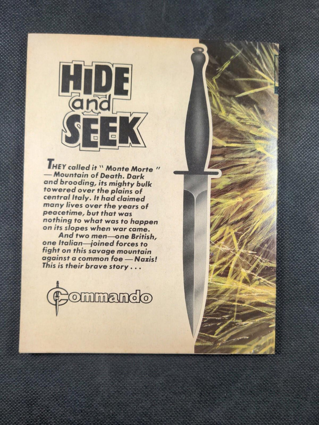 Commando Comic Issue Number 1460 Hide And Seek - Retrorama UK