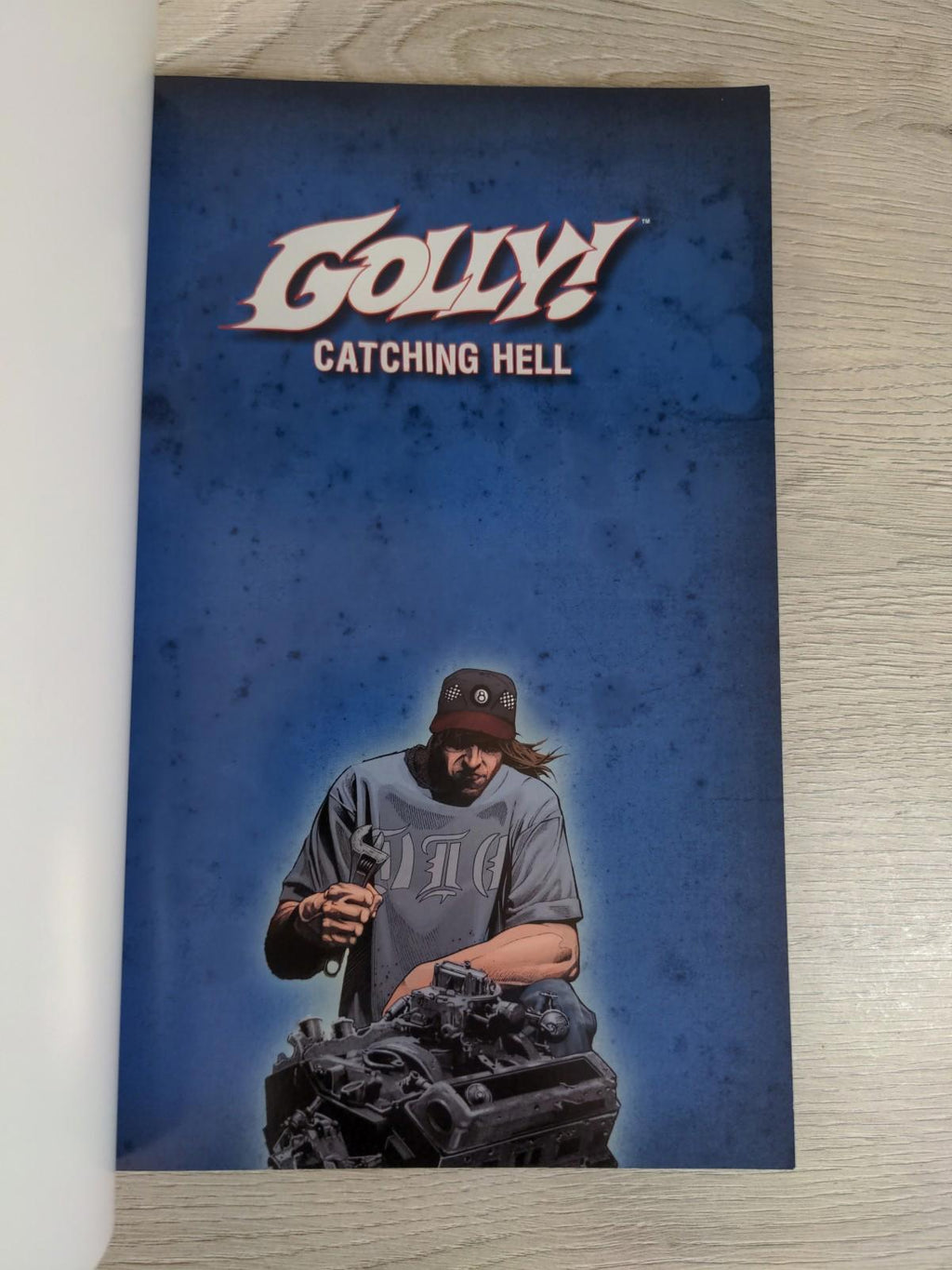 Image Comics Golly Vol 1 Catching Hell  Phil Hester Paperback 2011 Graphic Novel