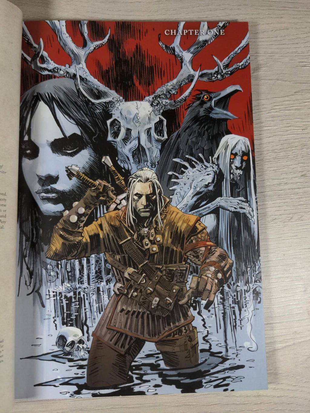 The Witcher Volume 1 House Of Glass Dark House Comics Graphic Novel - Retrorama UK