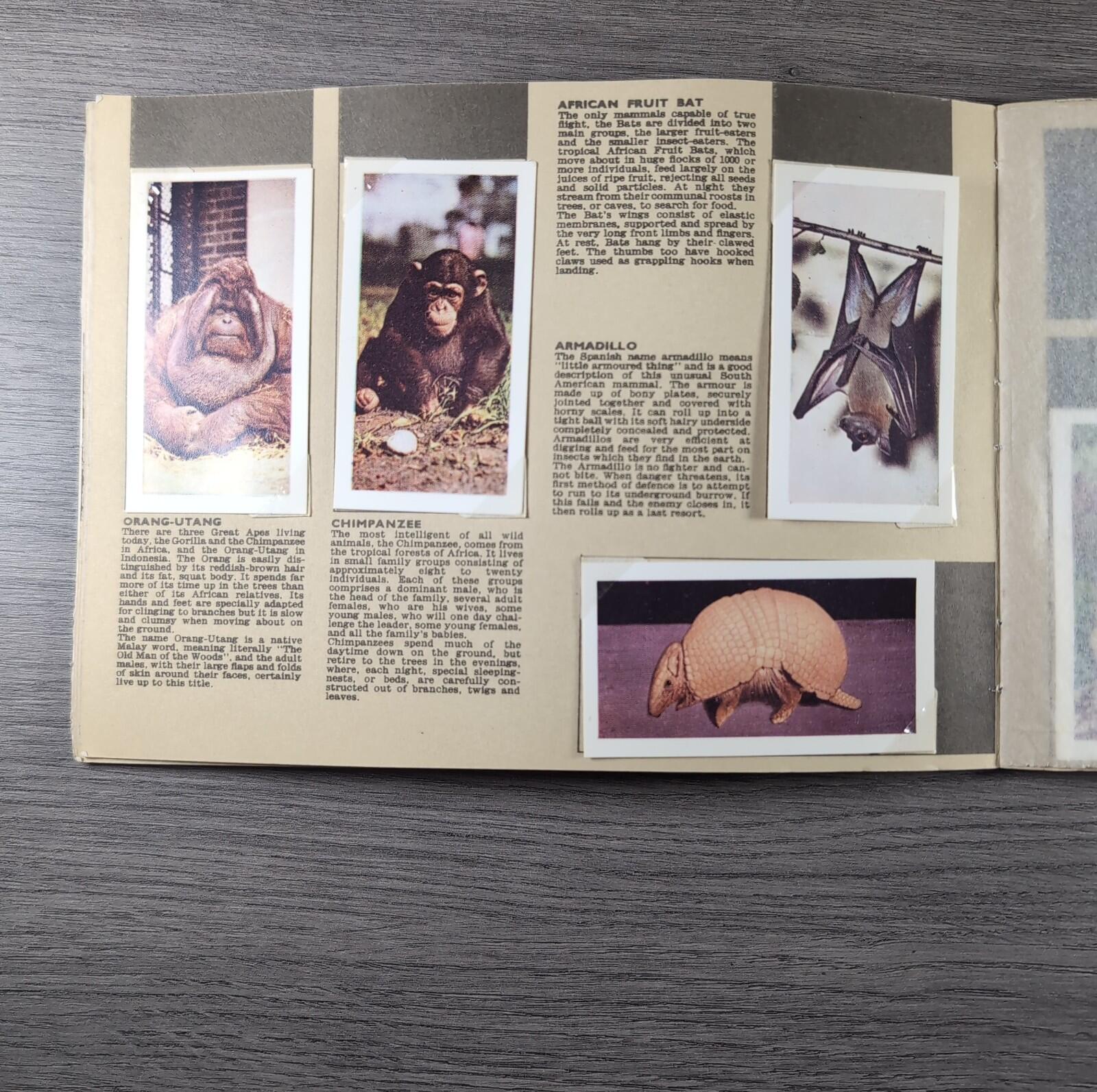 Hornimans Tea Picture Card Album On Safari Complete Set