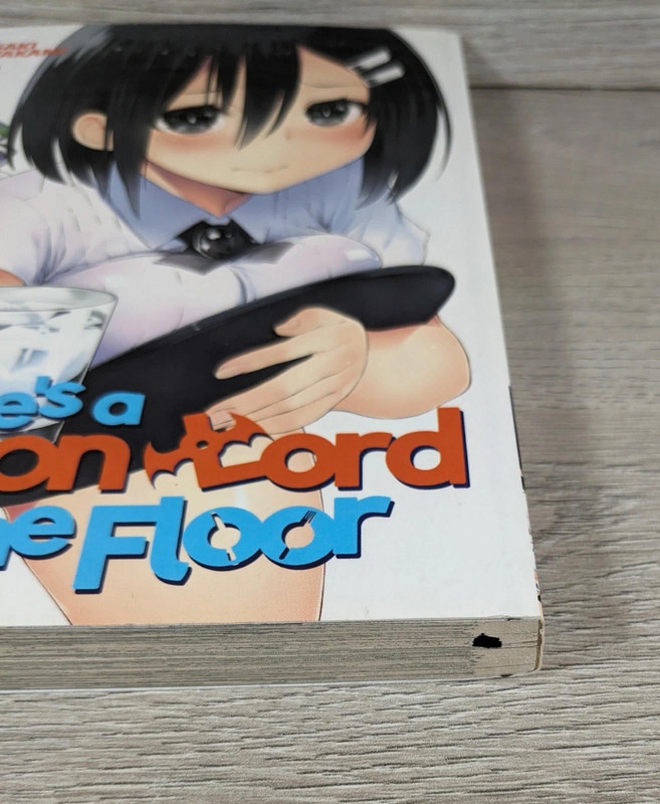 There's a Demon Lord on the Floor: Vol. 3 by Kawakami Masaki Paperback 2017