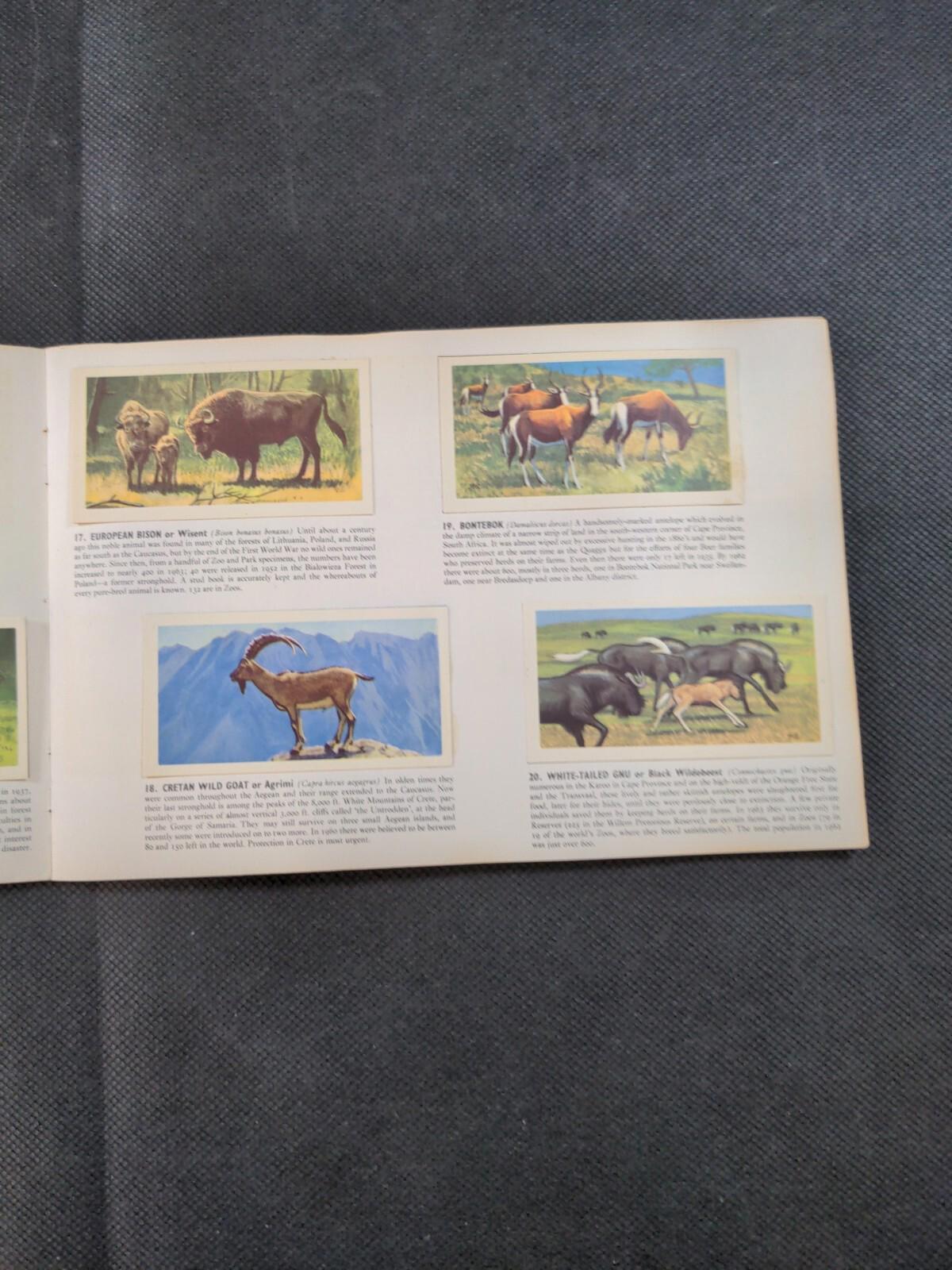 Brooke Bond Tea Wildlife in Danger Picture Card Album Complete Set
