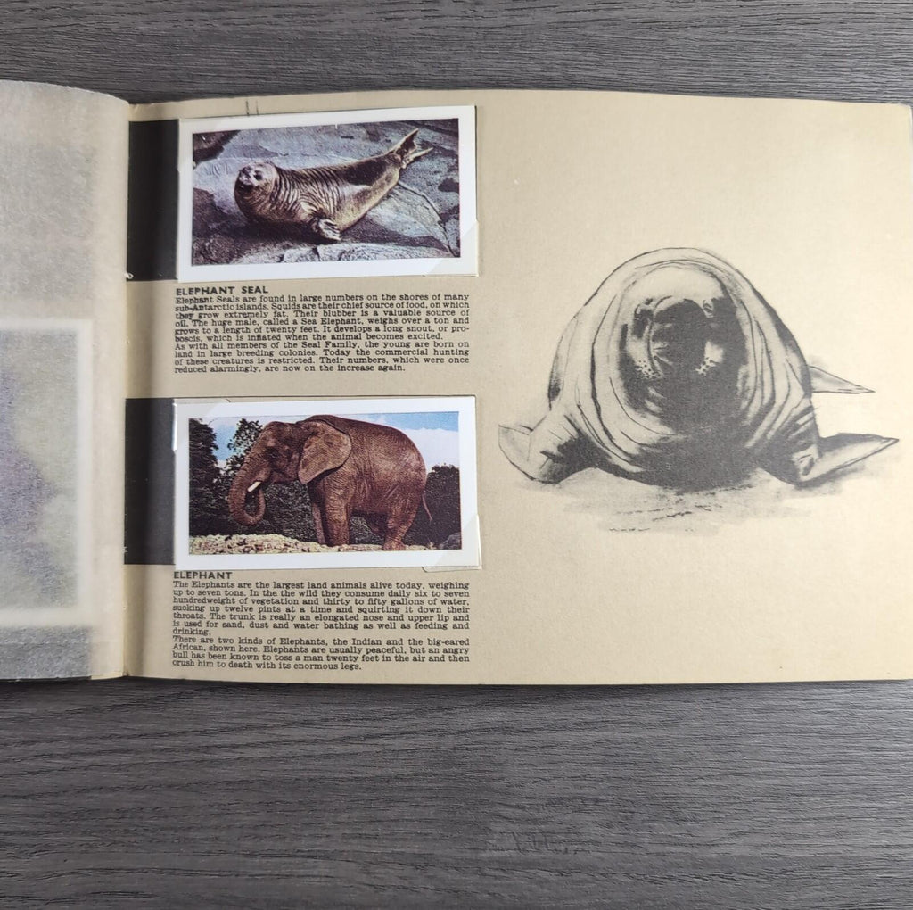 Hornimans Tea Picture Card Album On Safari Complete Set