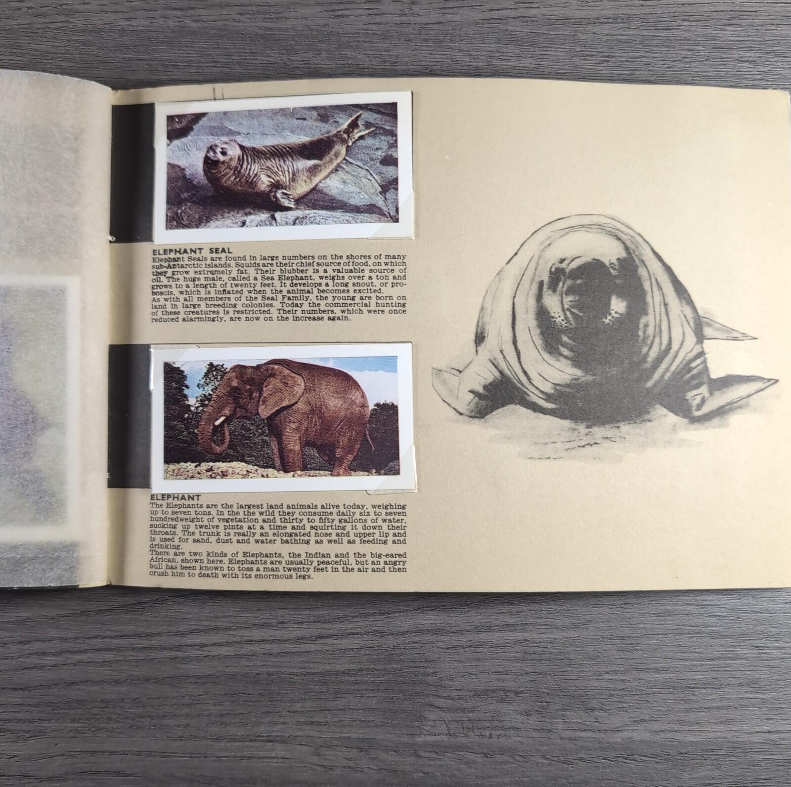 Hornimans Tea Picture Card Album On Safari Complete Set