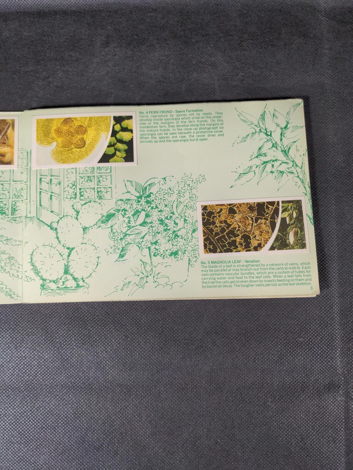 Brooke Bond Tea Cards: Small Wonders Album Complete With All Cards In The Set