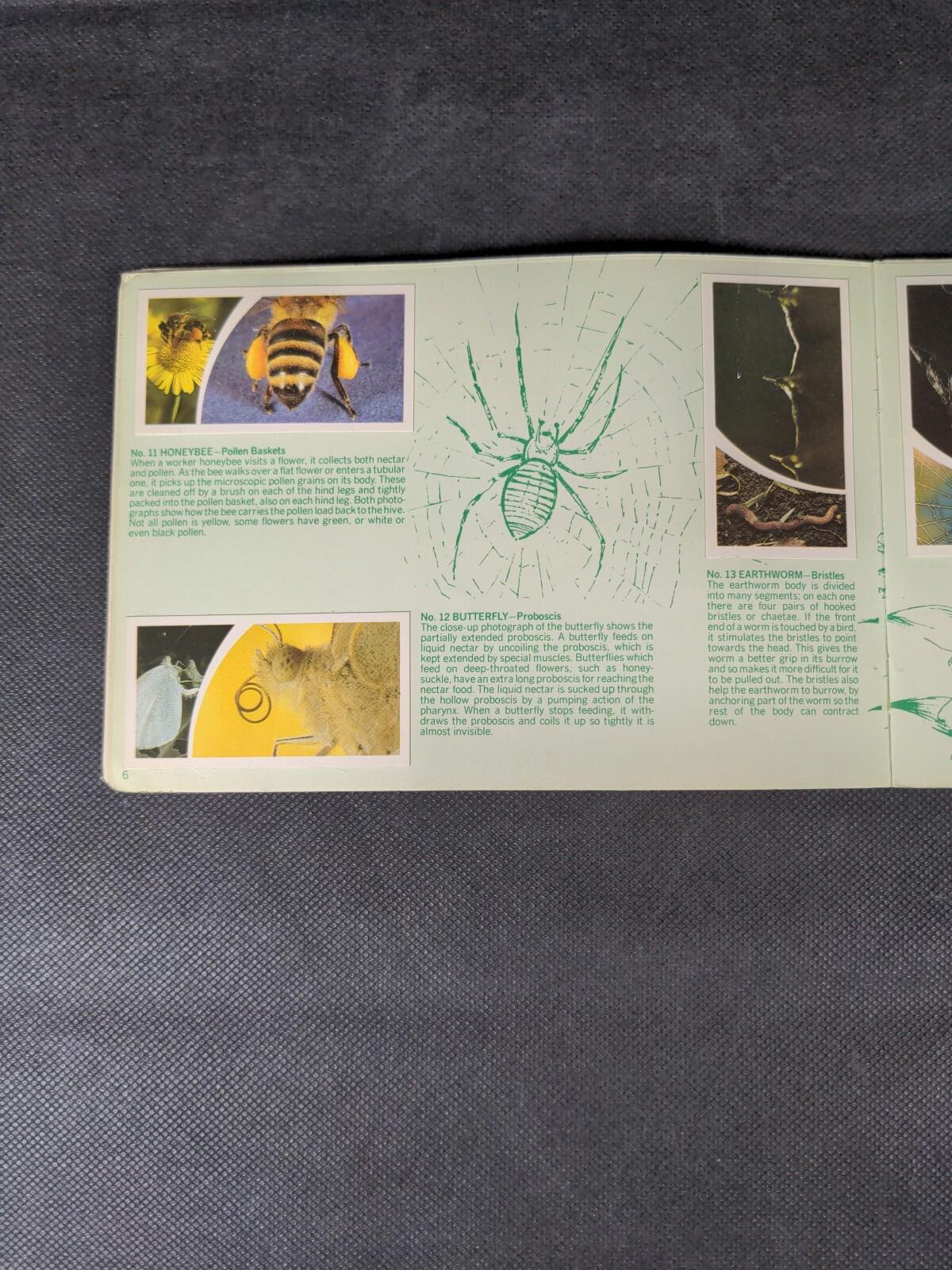 Brooke Bond Tea Cards: Small Wonders Album Complete With All Cards In The Set