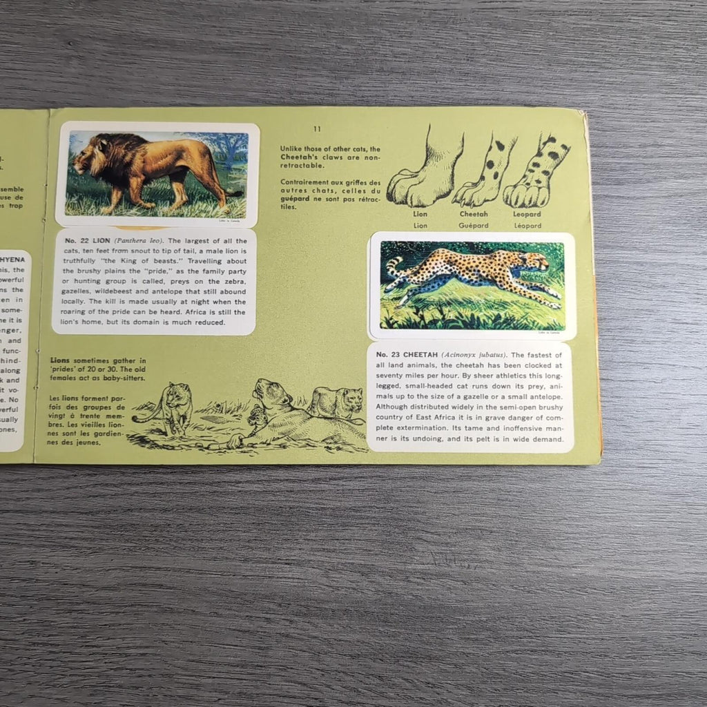 African Animals Brooke Bond Album No 7 Tea Cards Vintage Collectors Cards