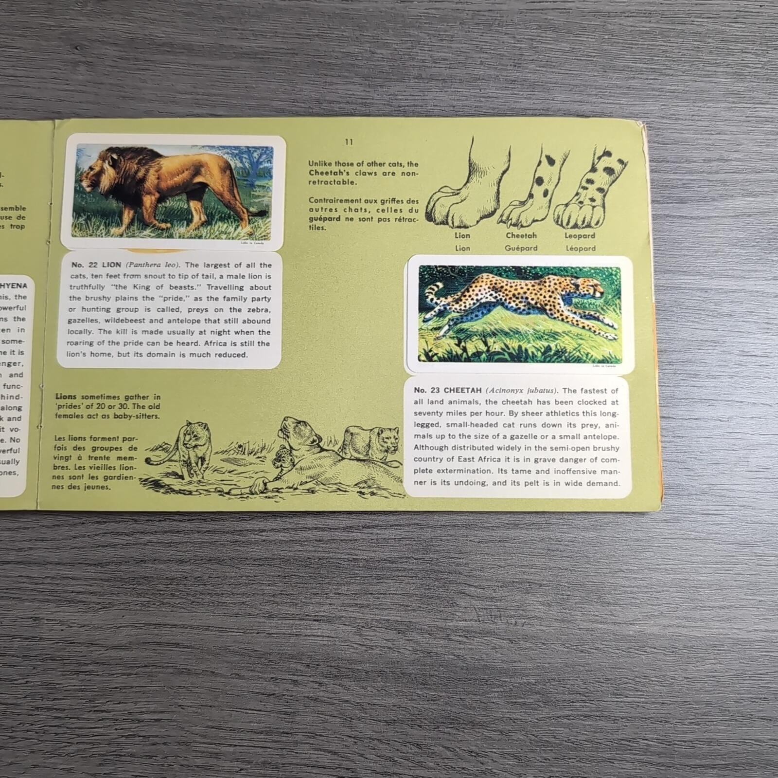 African Animals Brooke Bond Album No 7 Tea Cards Vintage Collectors Cards