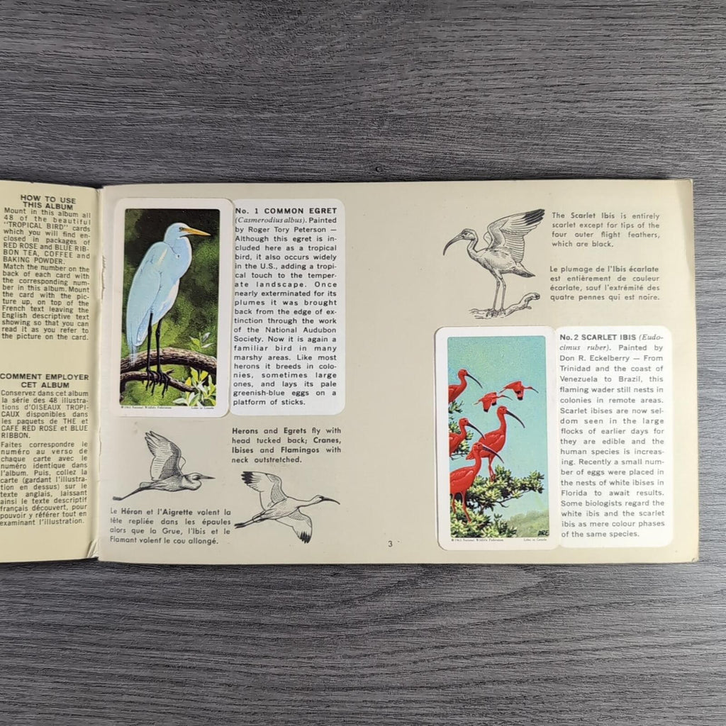 Brooke Bond Tea Picture Card Album No 6 Tropical Birds Complete Set Canada Issue