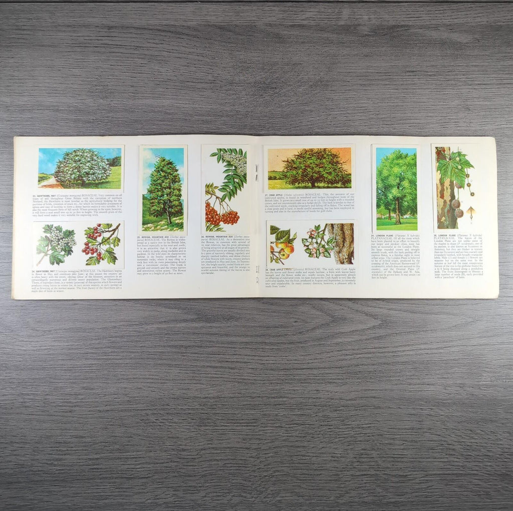 Brooke Bond Tea Picture Cards Album Trees In Britain Complete Set