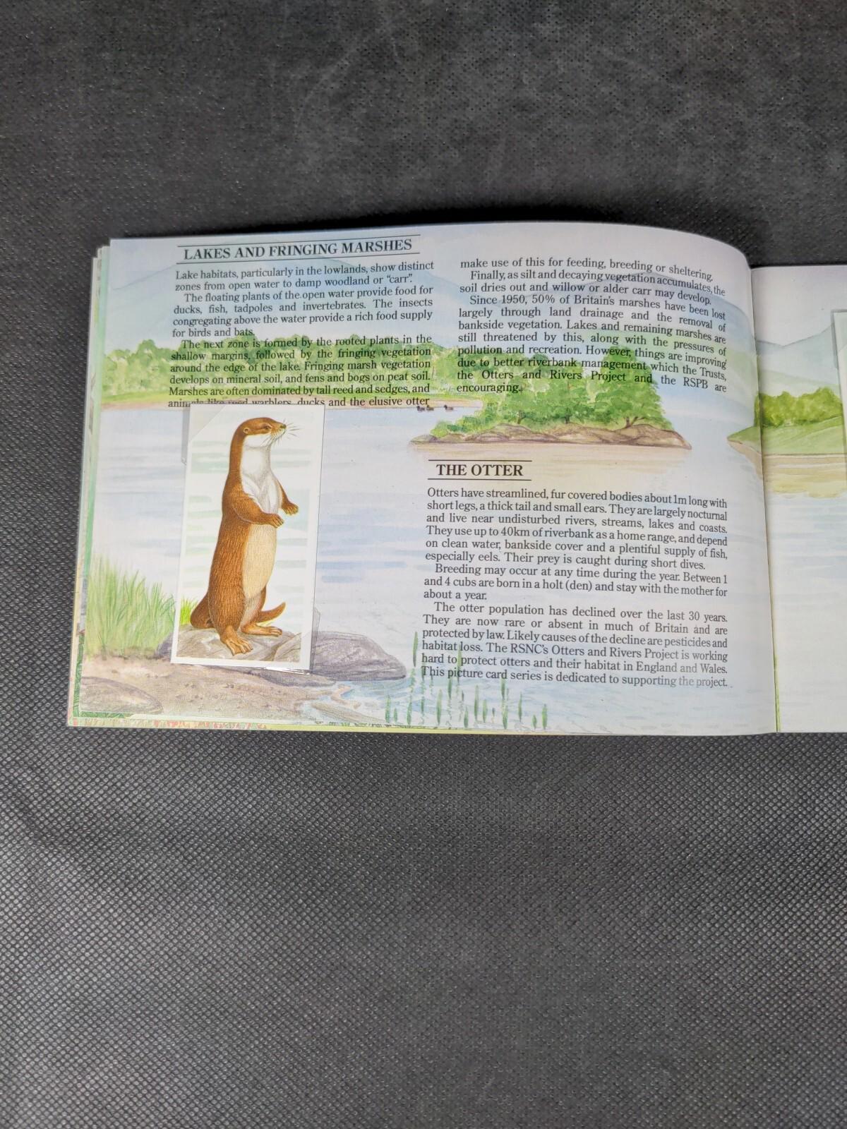 Brooke Bond Tea Cards: A Journey Downstream Album Complete All Cards In The Set