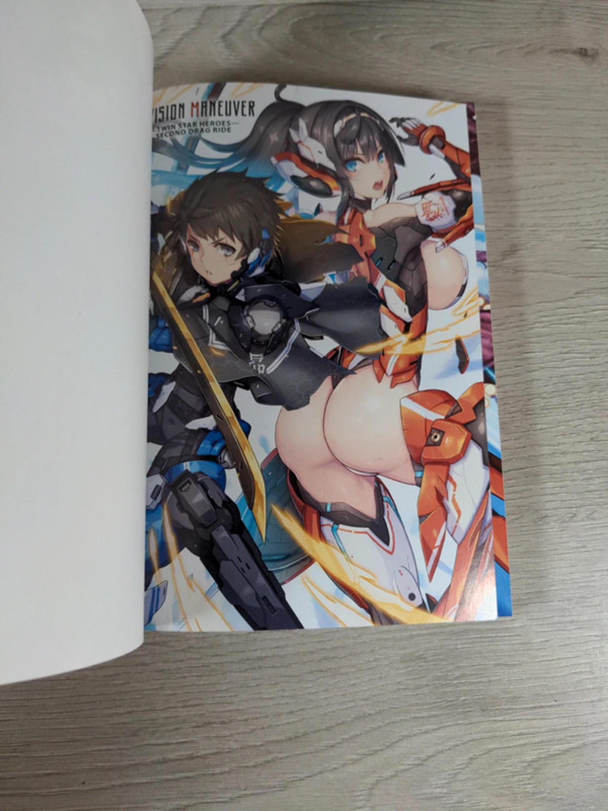 Division Maneuver Vol. 2 - Binary Hero by Shippo Senoo Paperback Novel 2019