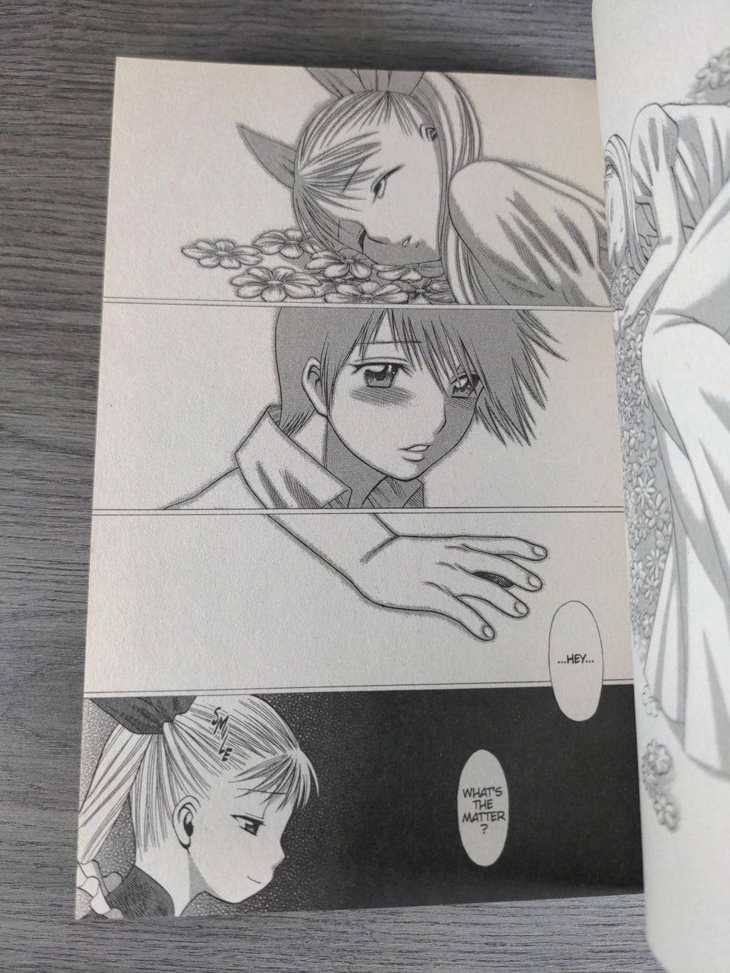 Dance in the Vampire Bund Vol. 5 by Tamaki, Nozomu Graphic Novel Paperback Book - Retrorama UK