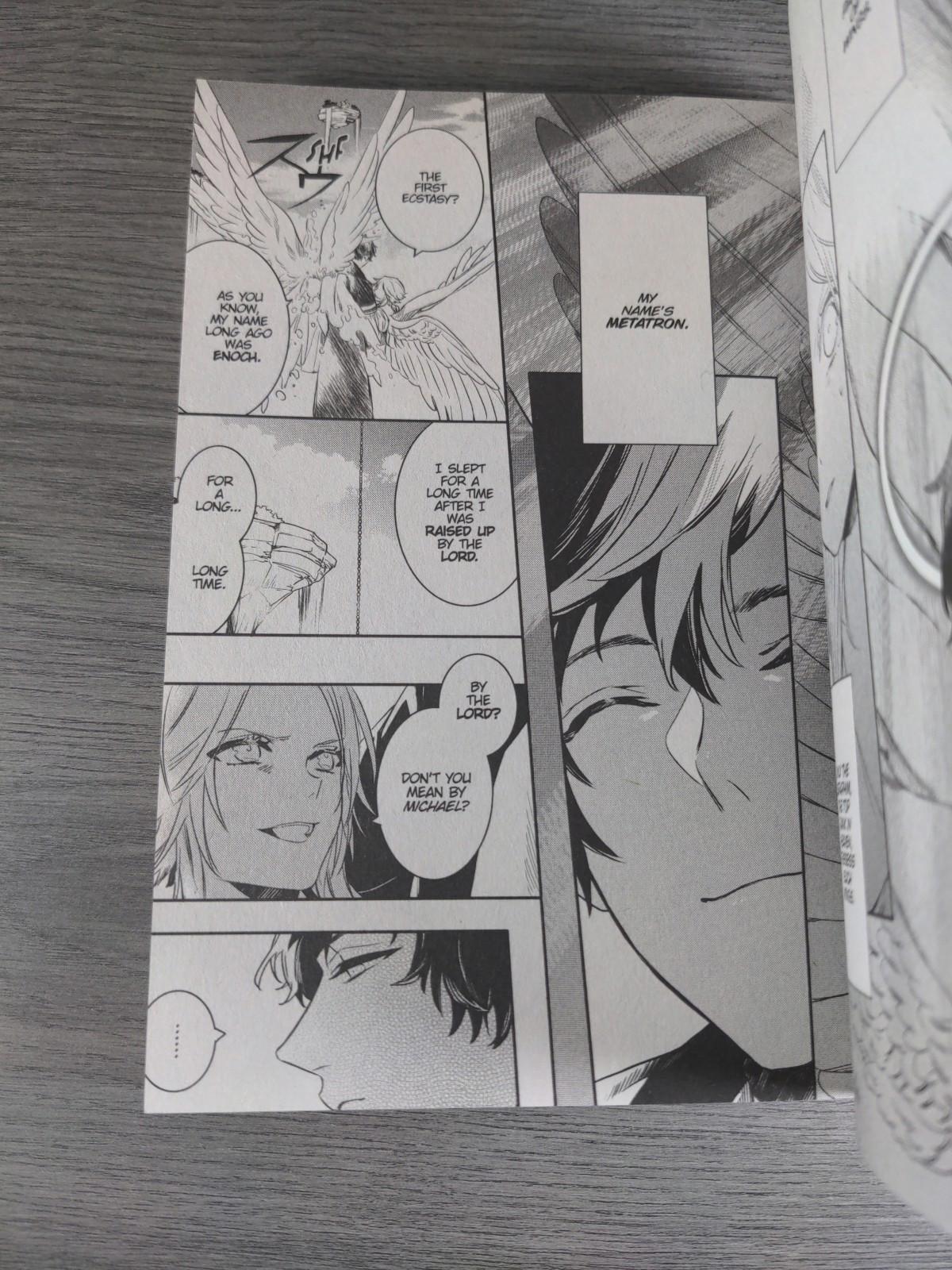 Devils and Realist Vol 13 Madoka Takadono Paperback Manga Book 2017