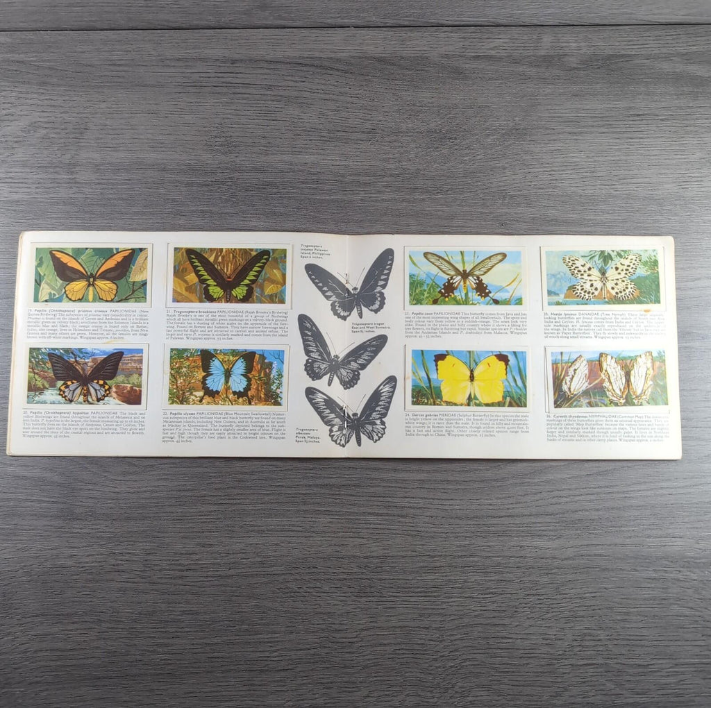 Brooke Bond Tea Picture Cards Album Butterflies Of The World Complete Set