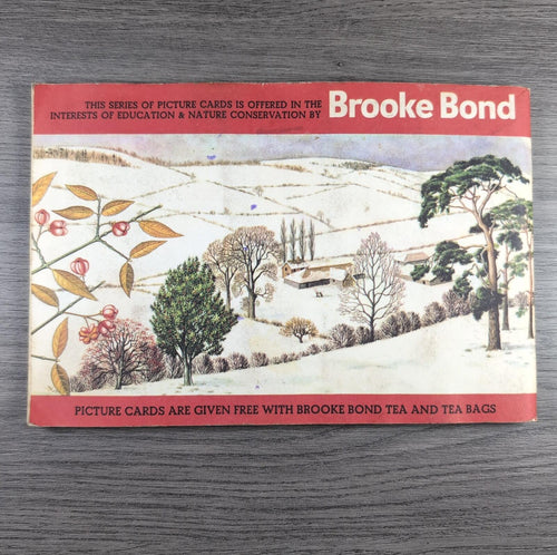 Brooke Bond Tea Picture Cards Album Trees In Britain Complete Set