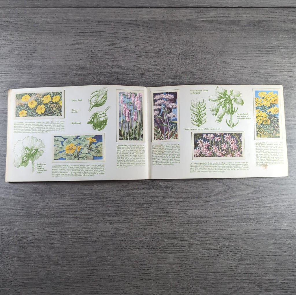Brooke Bond Tea Picture Cards Album Wild Flowers Complete Set