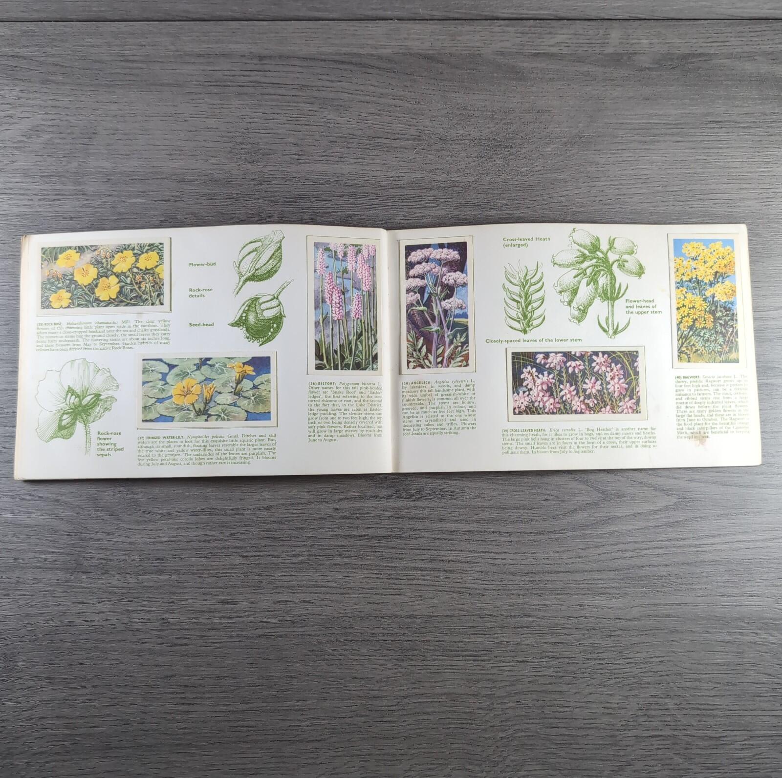 Brooke Bond Tea Picture Cards Album Wild Flowers Complete Set