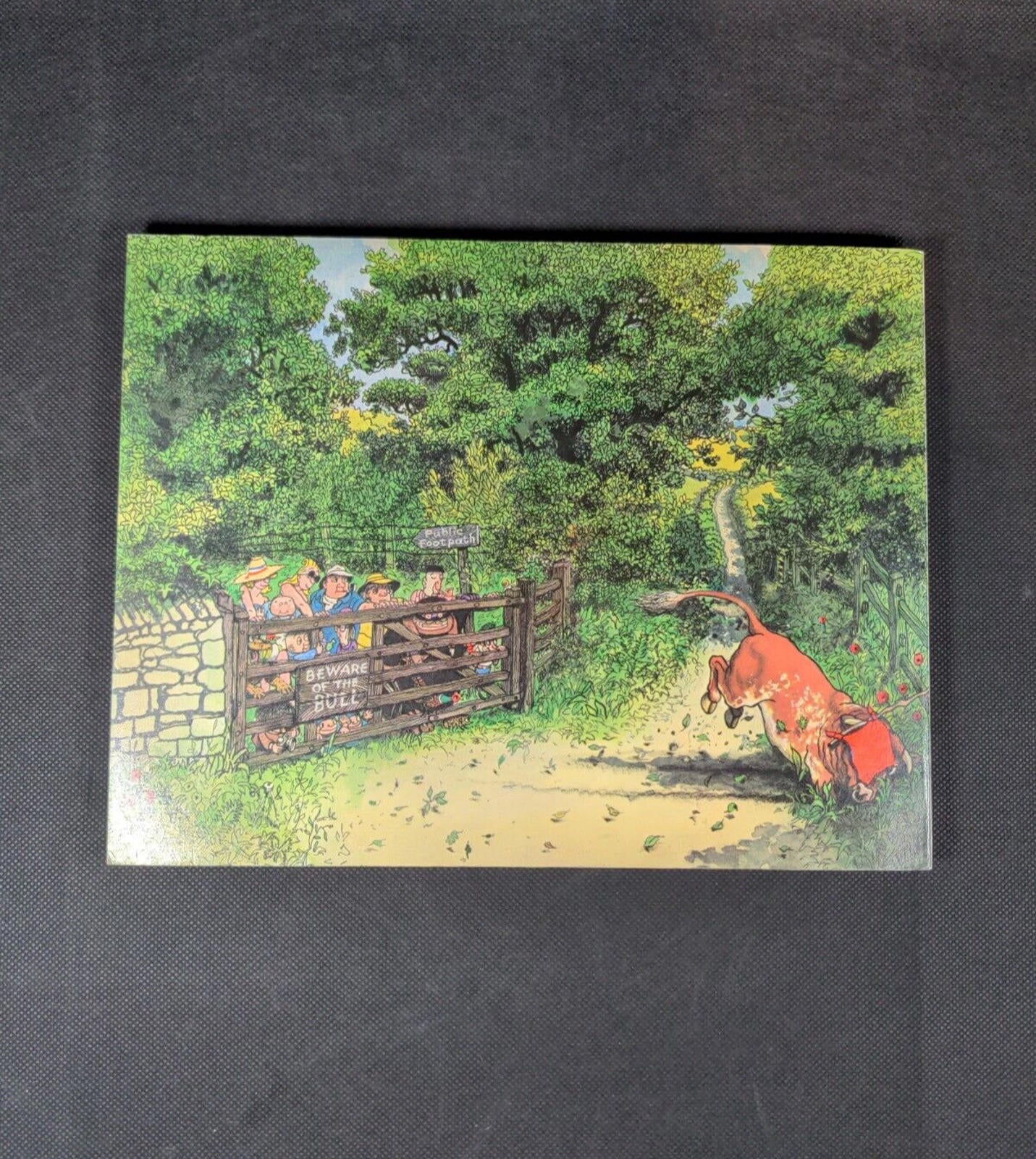 Giles Annual Thirty Third Series 1979 Cartoon Book Unclipped