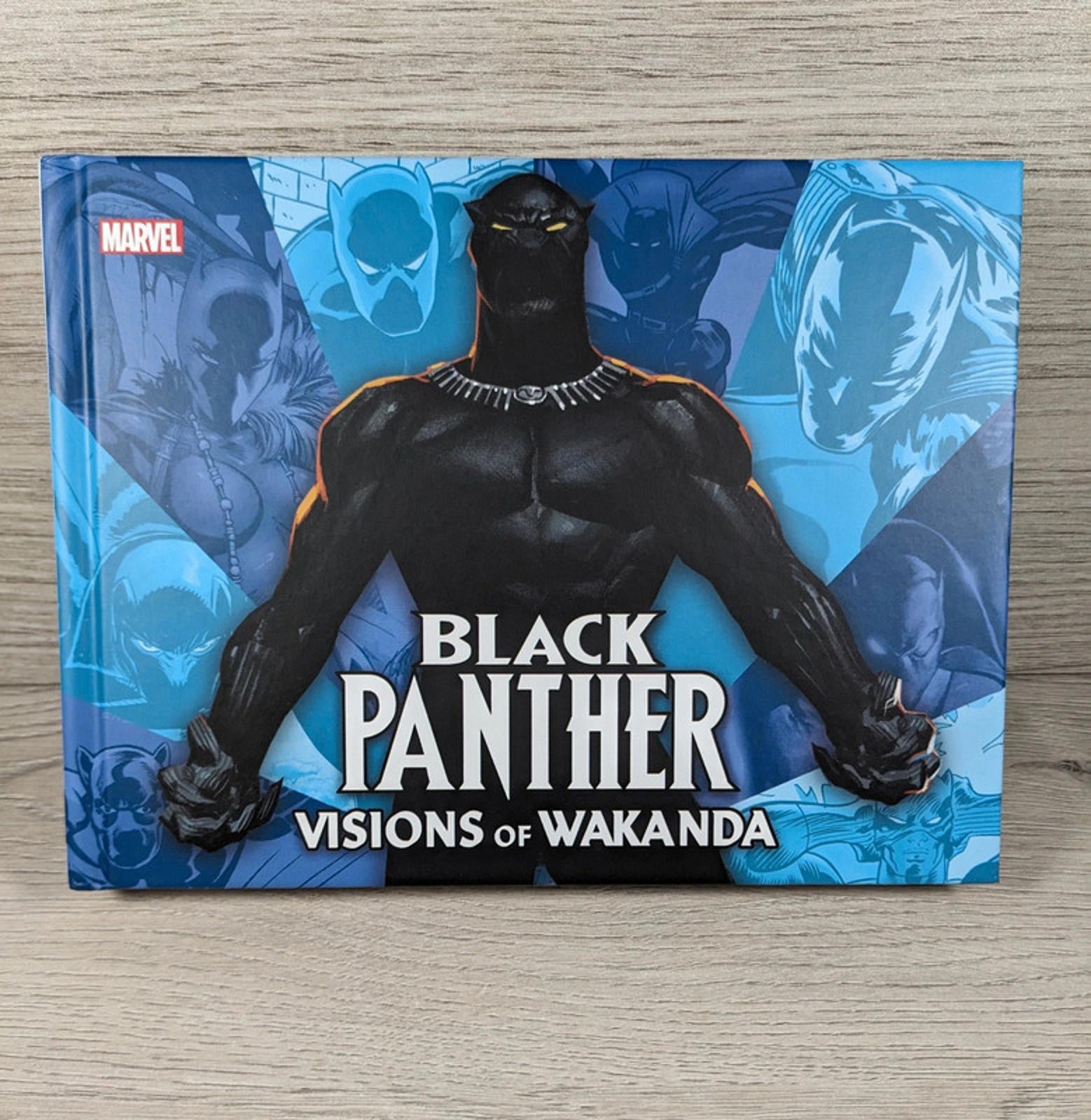 Marvel Black Panther: Visions Of Wakanda by Jess Harrold (Hardcover, 2020) - Retrorama UK
