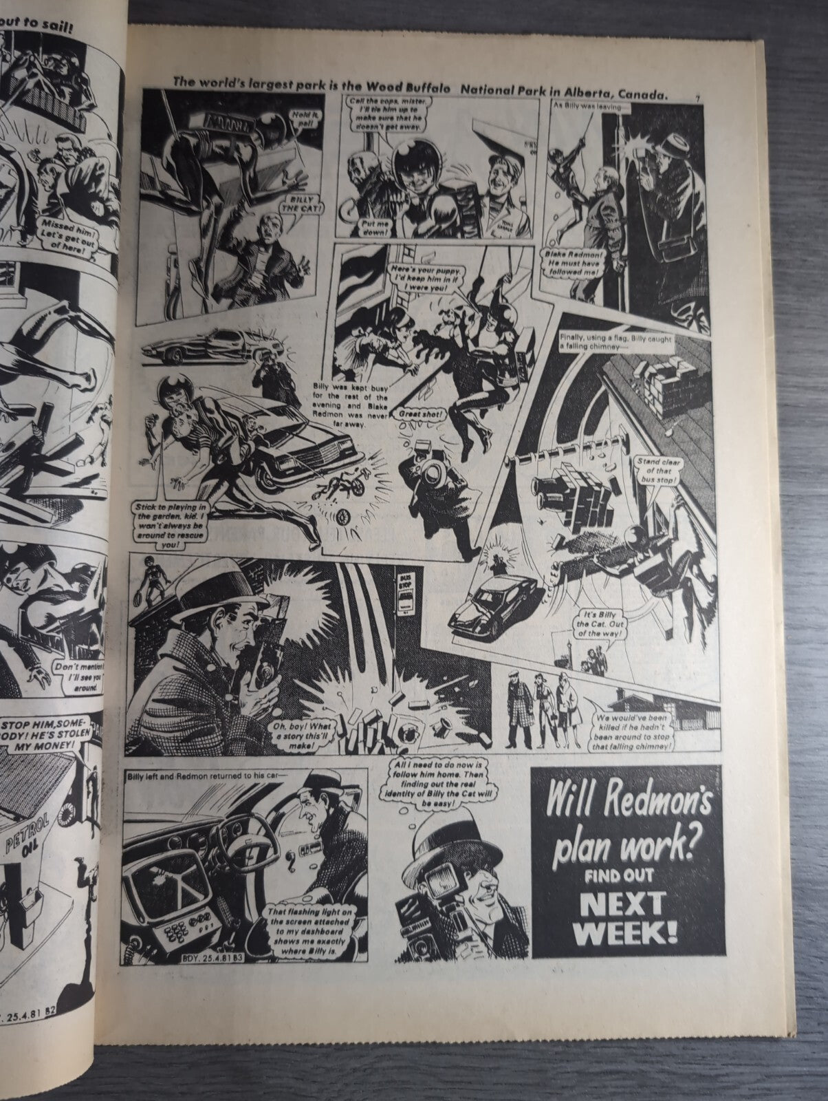 Buddy Comic Issue No 11 25th April 1981 Vintage Retro Comic