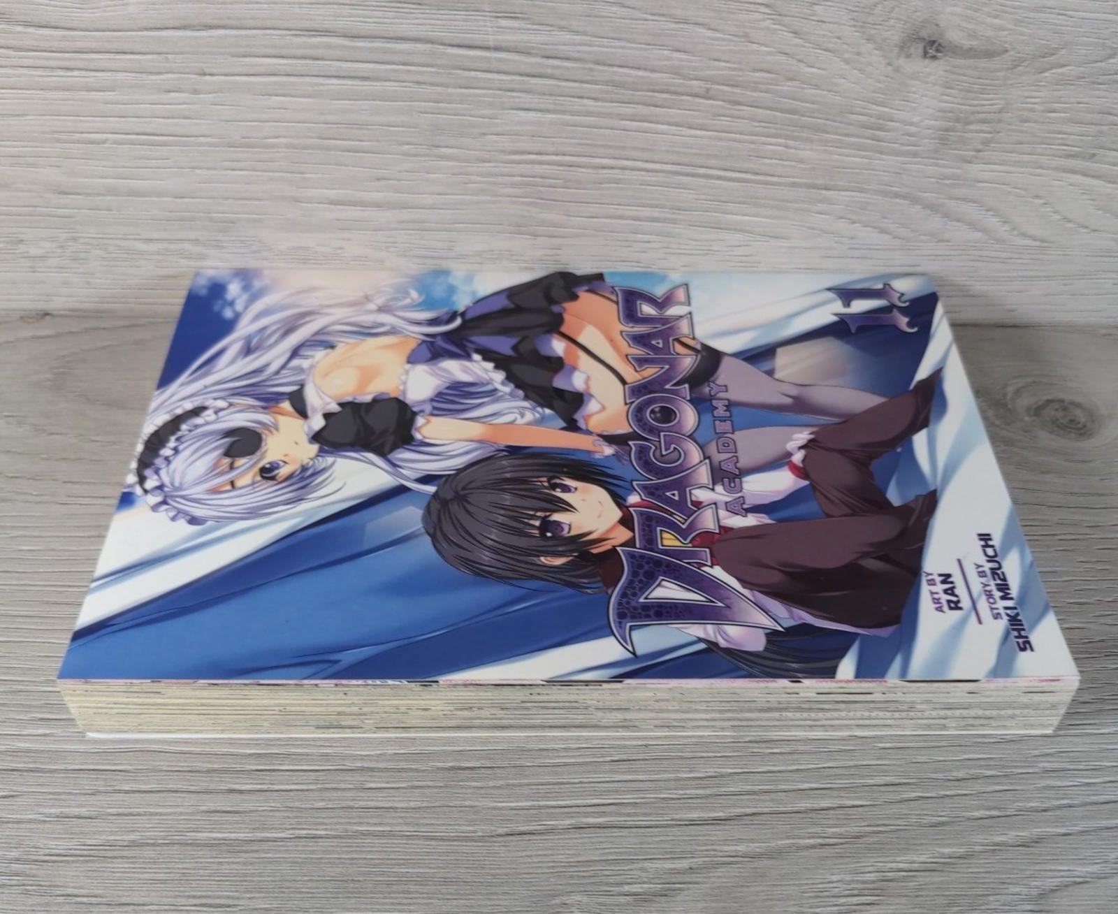 Dragonar Academy Vol. 11 by Shiki Mizuchi Manga Paperback Graphic Novel 2017