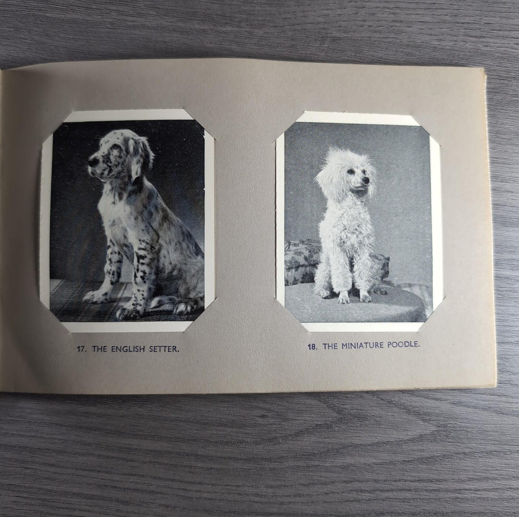Good Dogs Trex J Bibby 1955 Full Set 25 Cards In Album Collectors Trading Cards