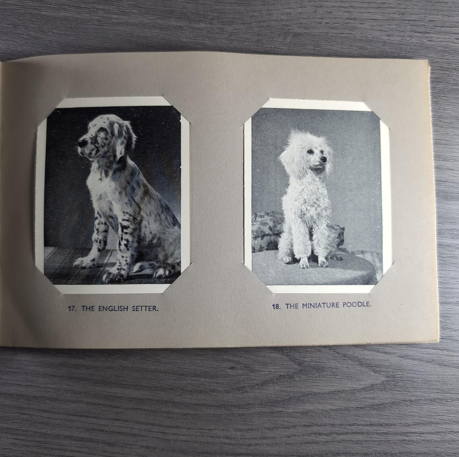 Good Dogs Trex J Bibby 1955 Full Set 25 Cards In Album Collectors Trading Cards