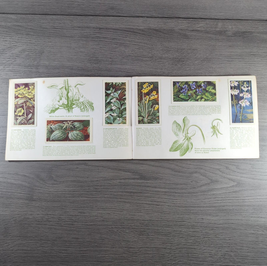 Brooke Bond Tea Picture Cards Album Wild Flowers Complete Set
