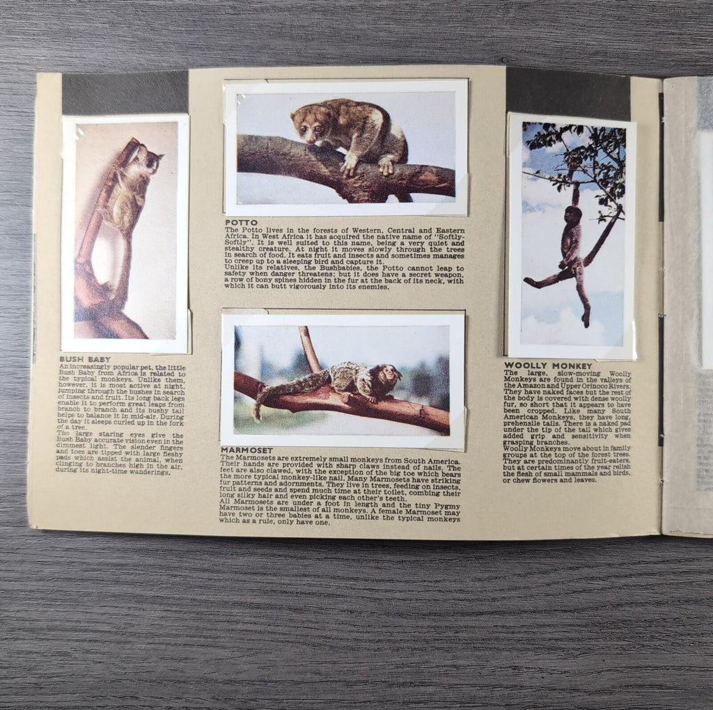 Hornimans Tea Picture Card Album On Safari Complete Set