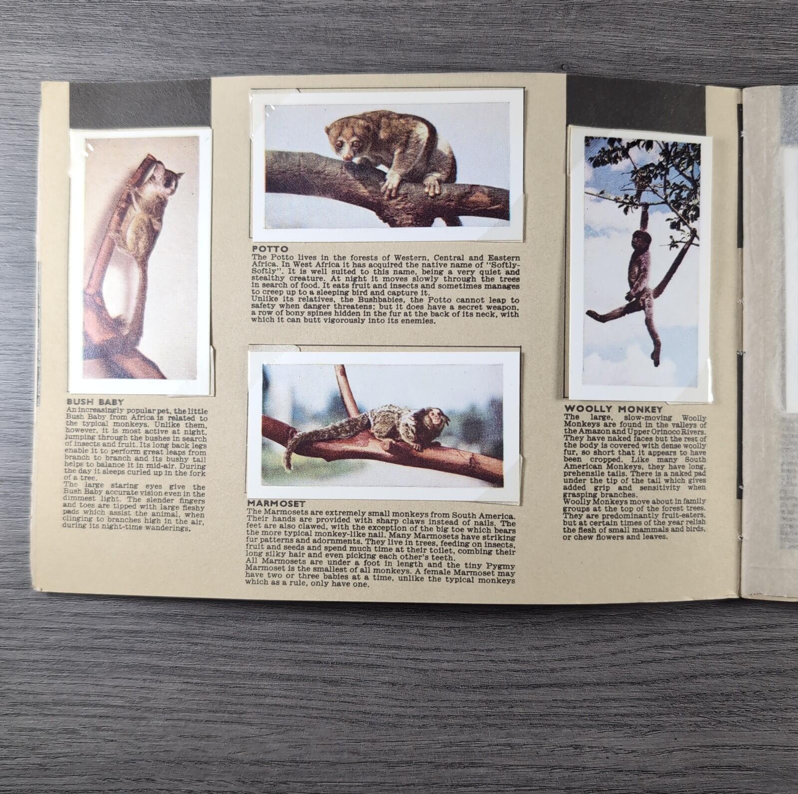 Hornimans Tea Picture Card Album On Safari Complete Set