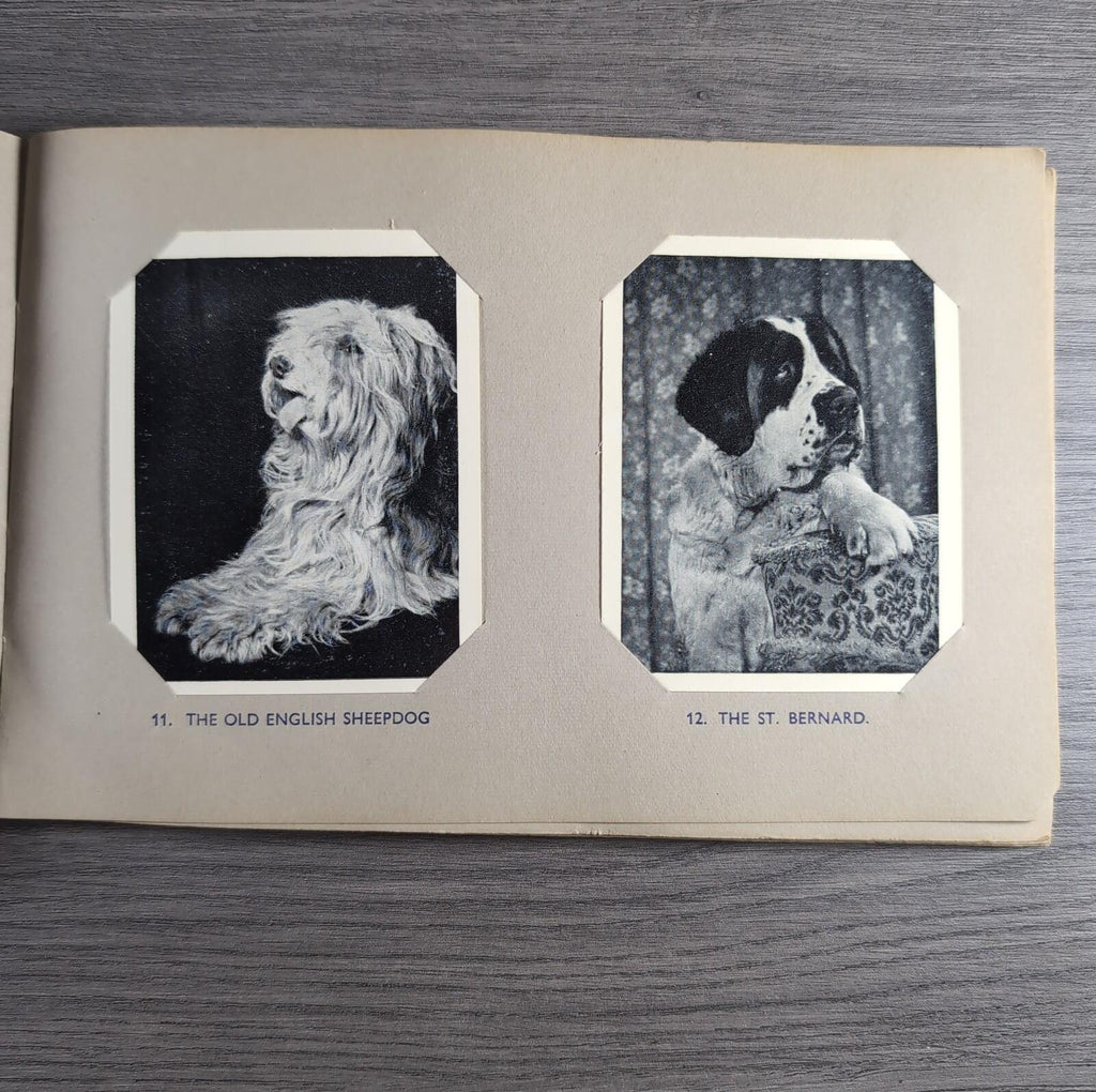Good Dogs Trex J Bibby 1955 Full Set 25 Cards In Album Collectors Trading Cards