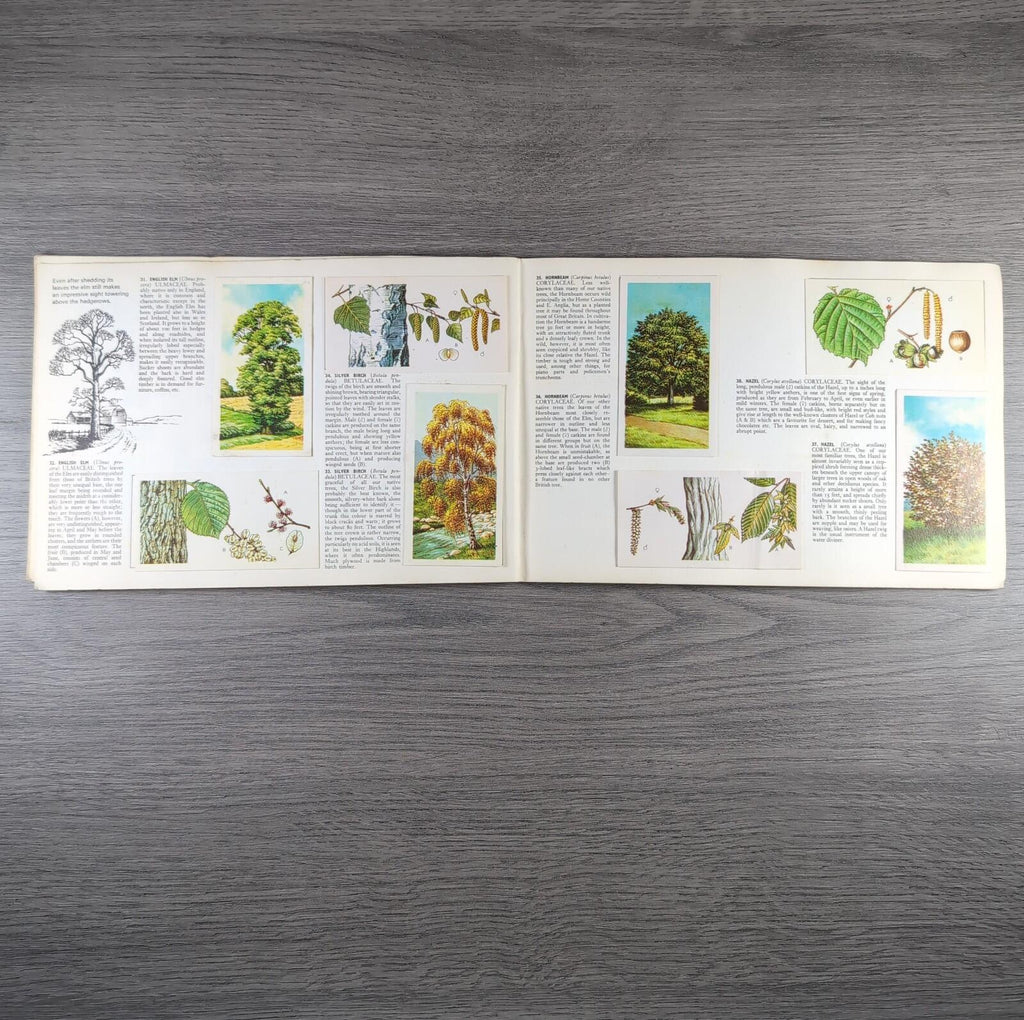 Brooke Bond Tea Picture Cards Album Trees In Britain Complete Set