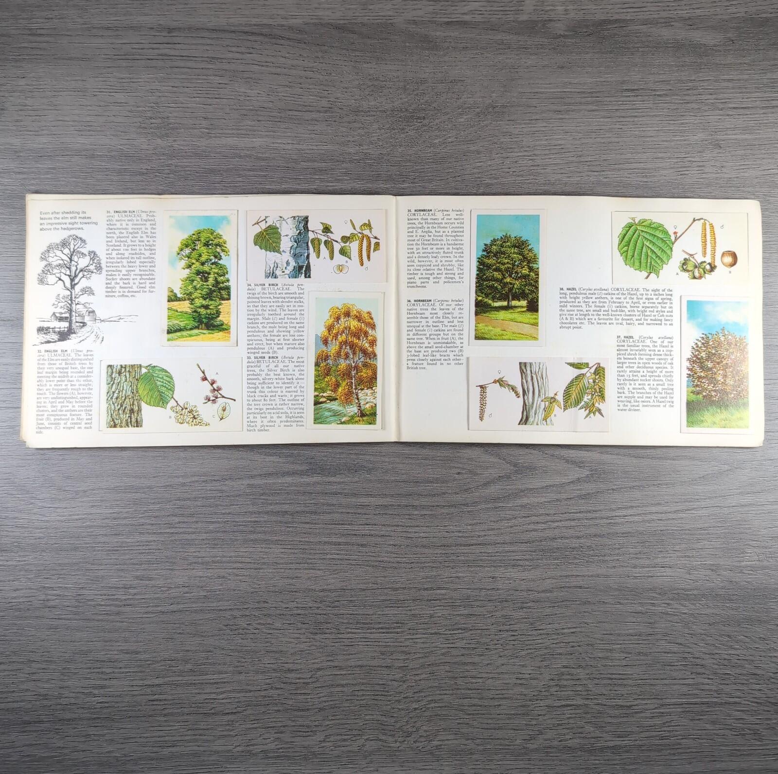 Brooke Bond Tea Picture Cards Album Trees In Britain Complete Set