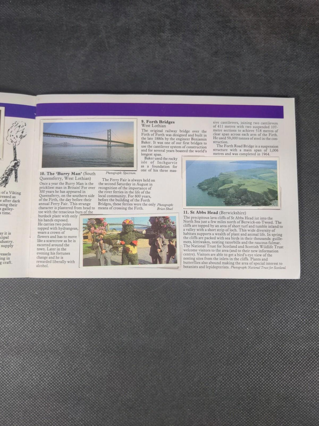 Brooke Bond Tea Cards: Discovering Our Coast PG Tips Album Complete
