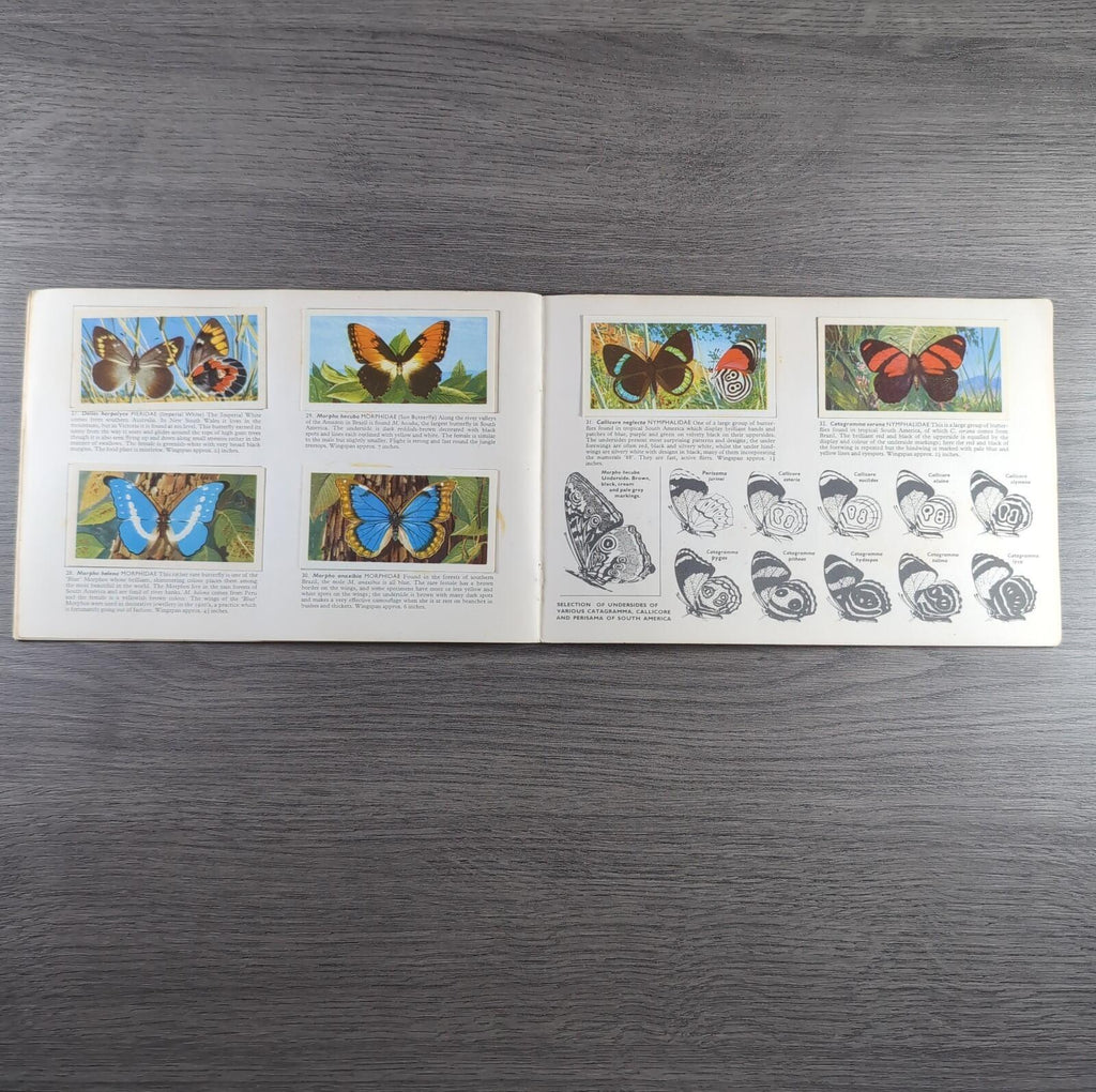 Brooke Bond Tea Picture Cards Album Butterflies Of The World Complete Set