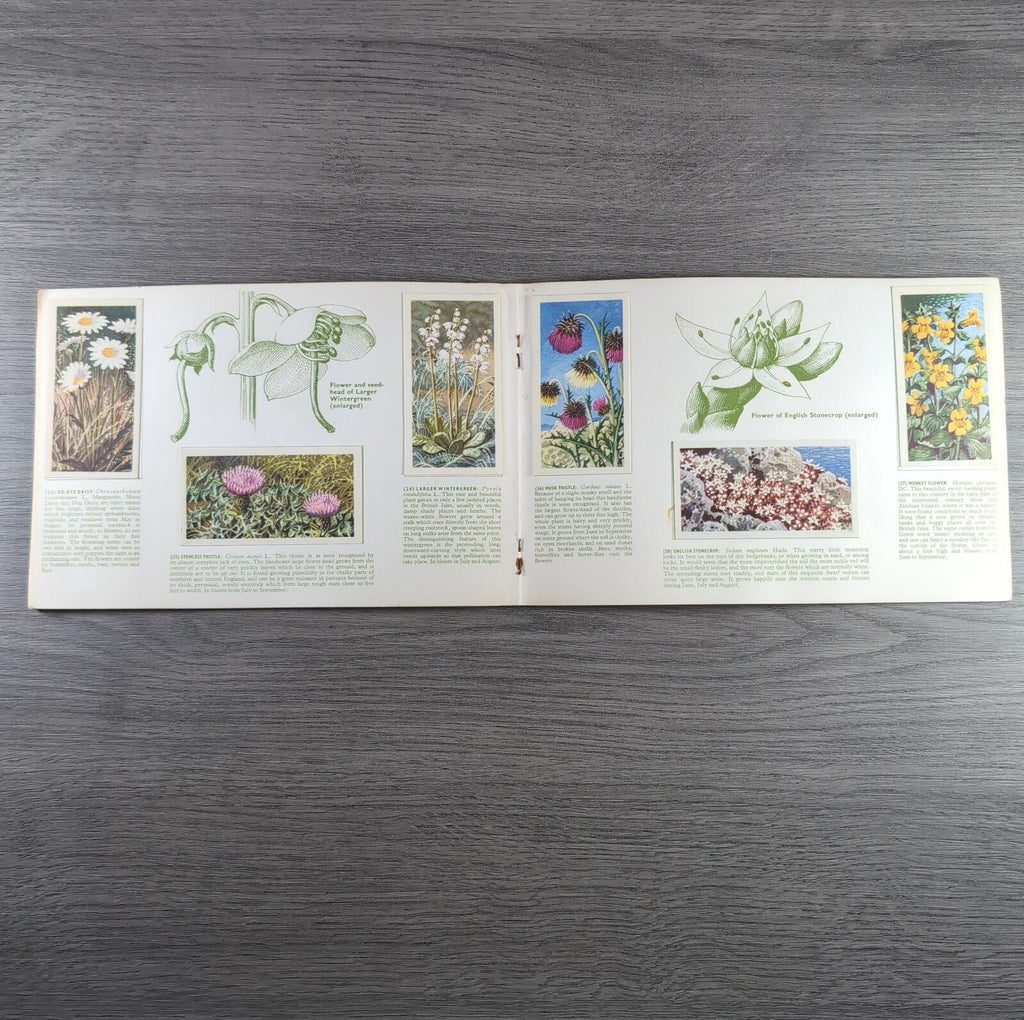 Brooke Bond Tea Picture Cards Album Wild Flowers Complete Set