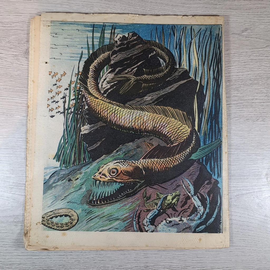 Scream! Comic Issue Number 14 23rd June 1984