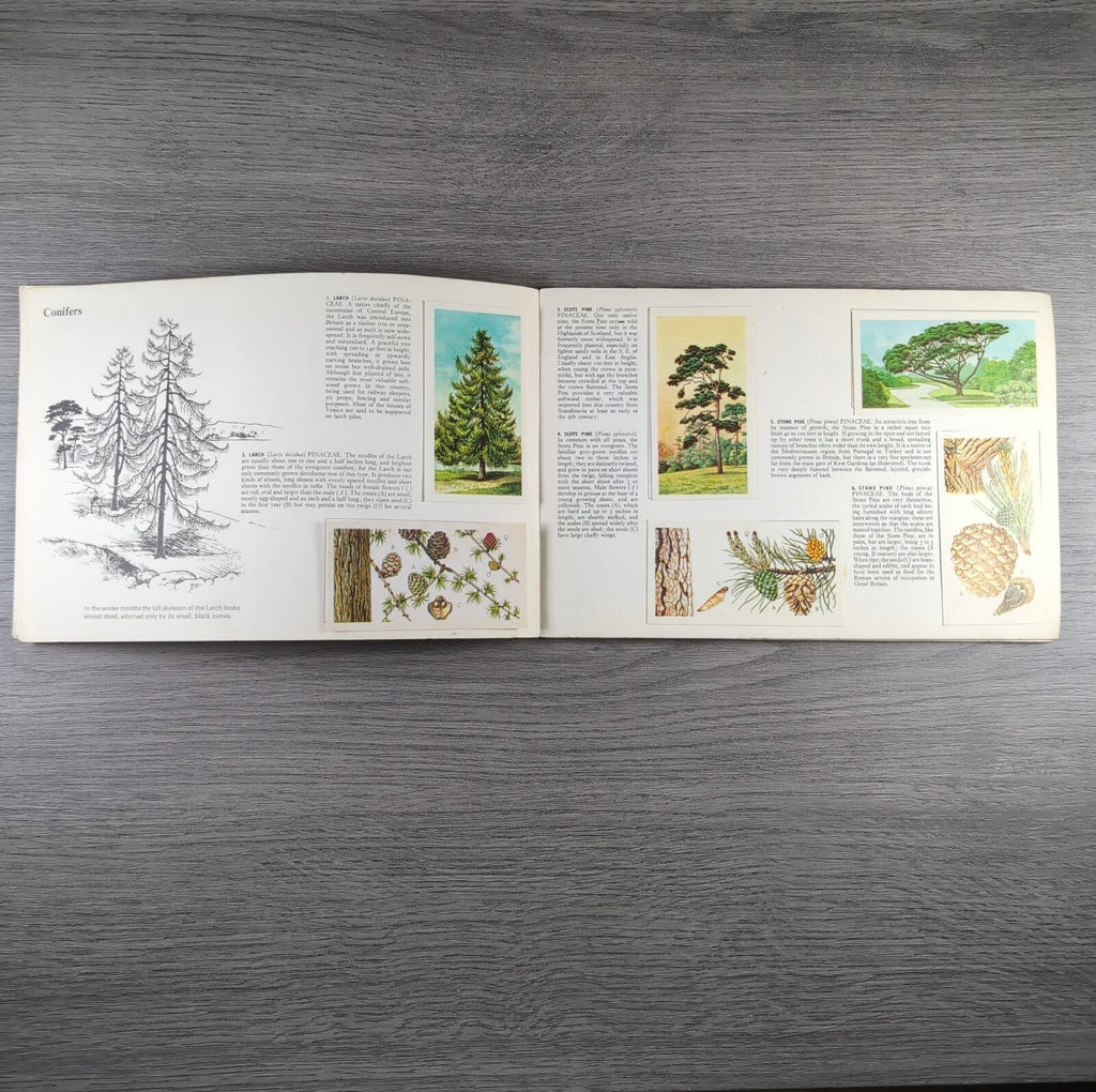 Brooke Bond Tea Picture Cards Album Trees In Britain Complete Set