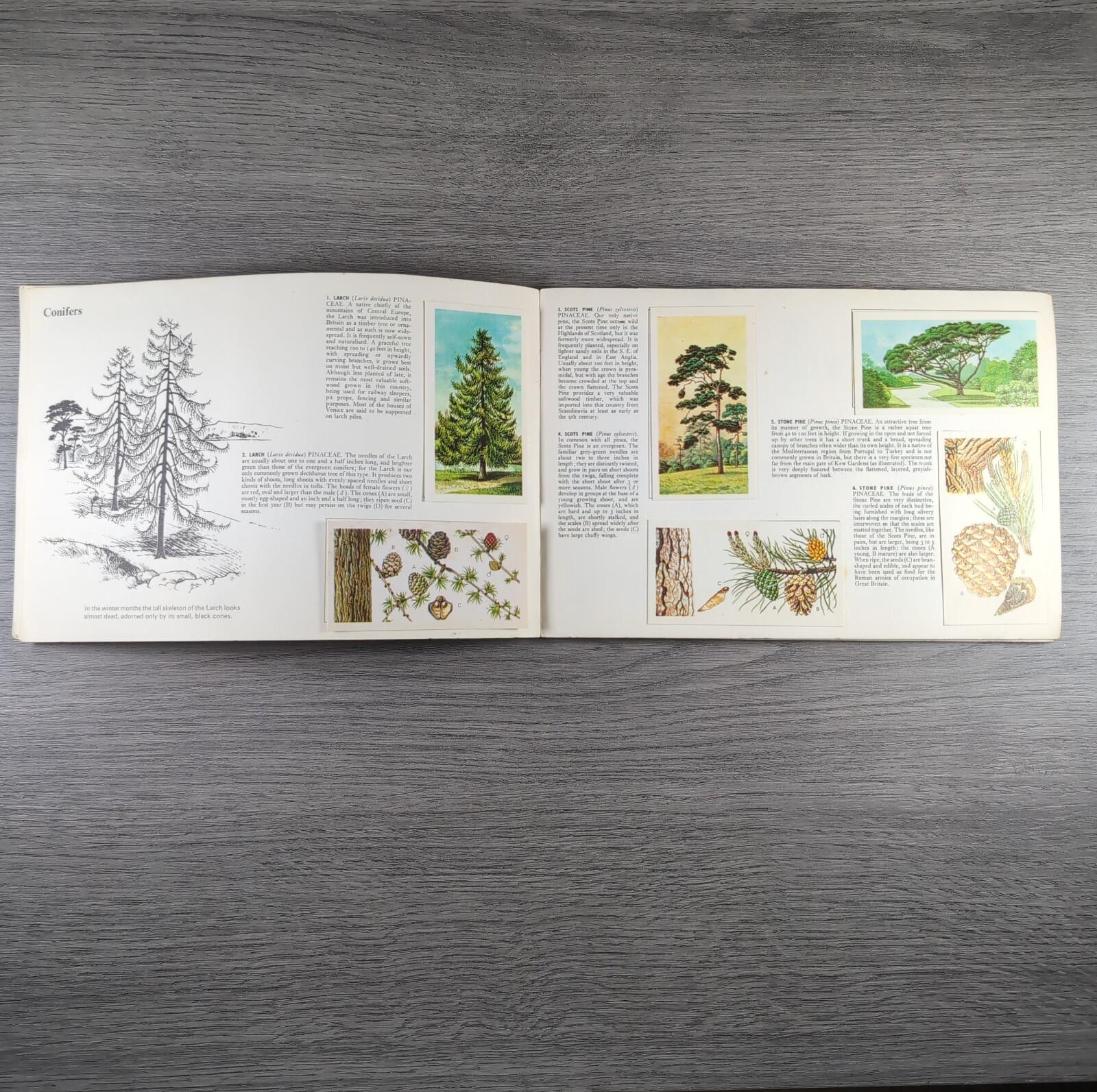 Brooke Bond Tea Picture Cards Album Trees In Britain Complete Set