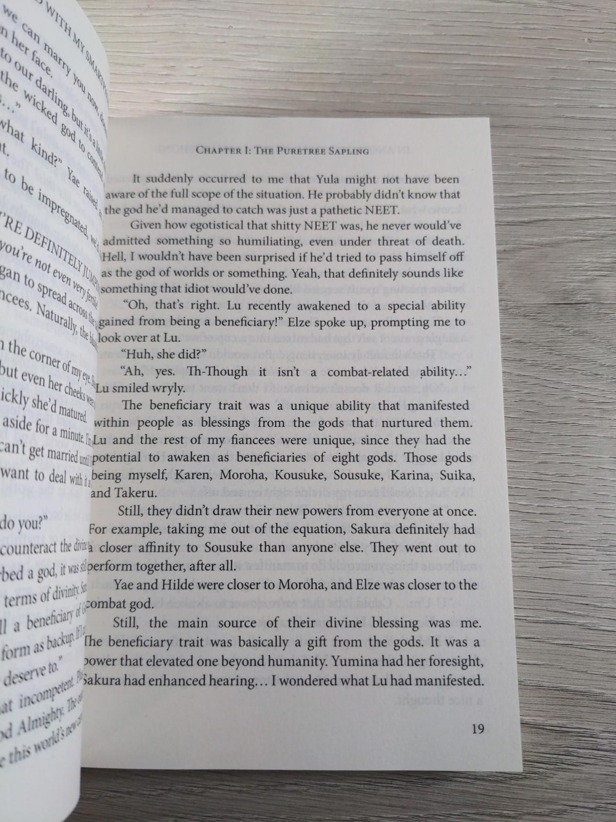 In Another World With My Smartphone: Volume 19 by Patora Fuyuhara Paperback Book