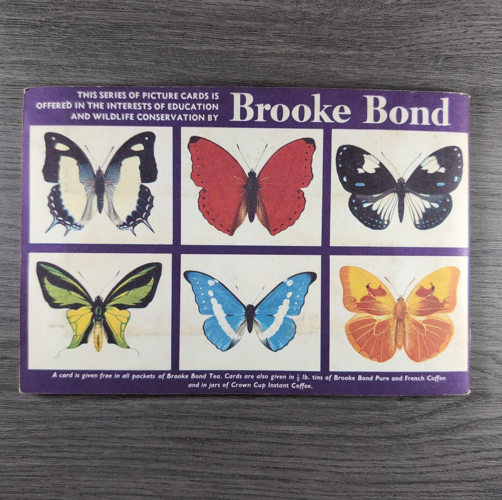Brooke Bond Tea Picture Cards Album Butterflies Of The World Complete Set