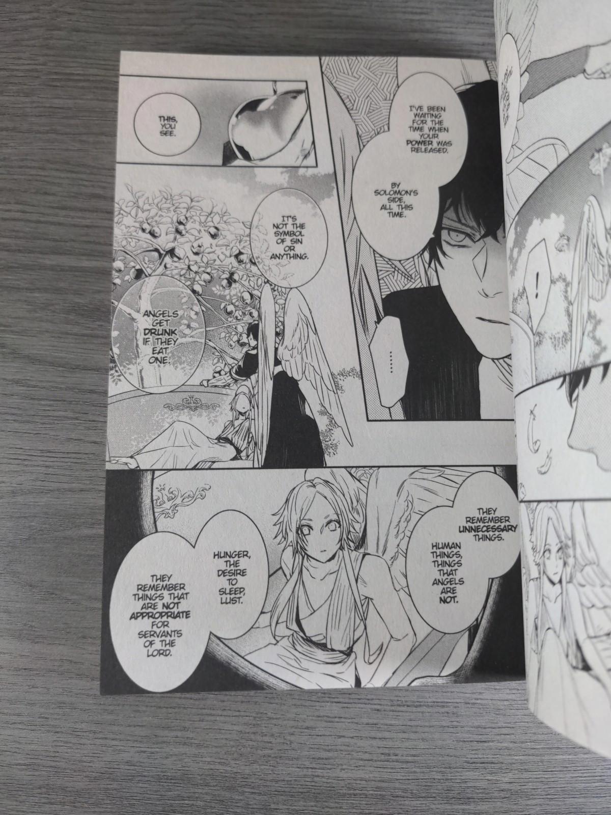 Devils and Realist Vol 13 Madoka Takadono Paperback Manga Book 2017