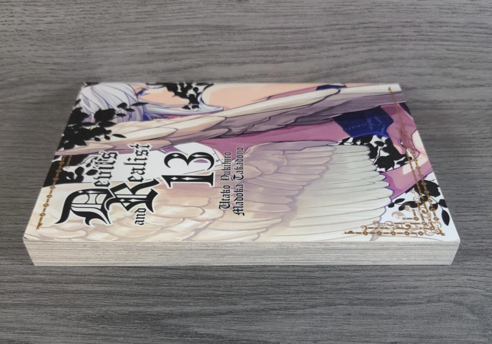 Devils and Realist Vol 13 Madoka Takadono Paperback Manga Book 2017