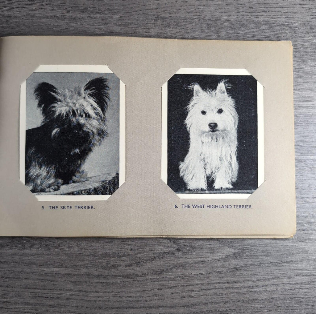 Good Dogs Trex J Bibby 1955 Full Set 25 Cards In Album Collectors Trading Cards